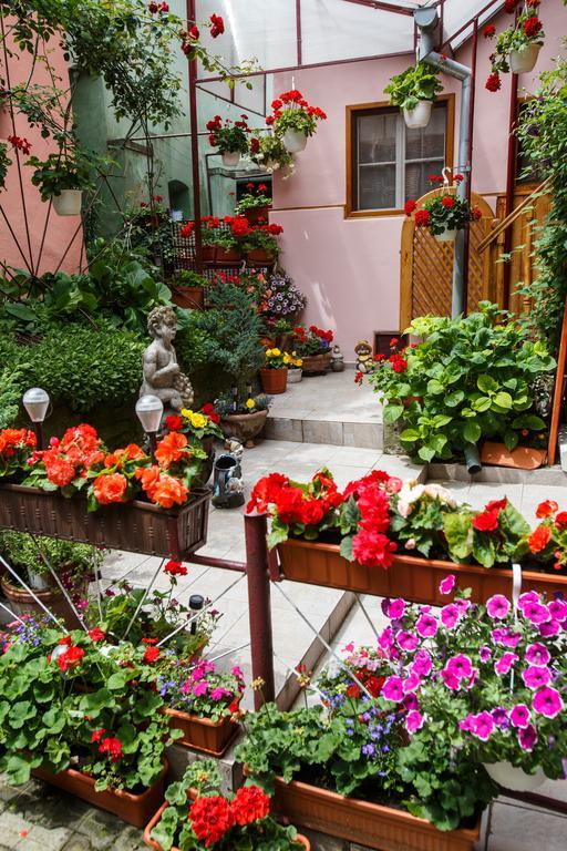 La Teo Pensiune Si Pivnita Sighişoara Exterior foto